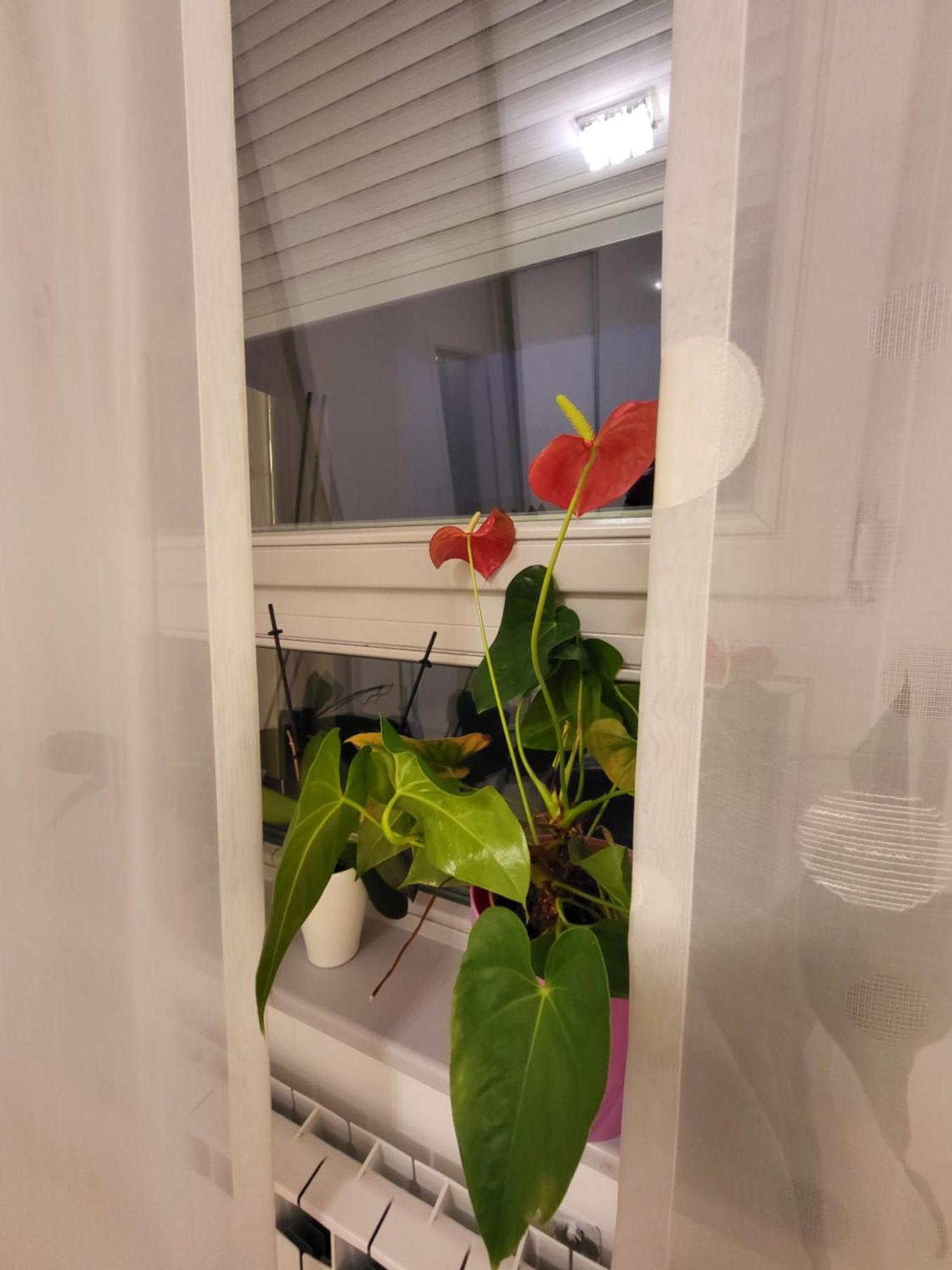 Apartman Jarun Lake Lux Zágráb Kültér fotó