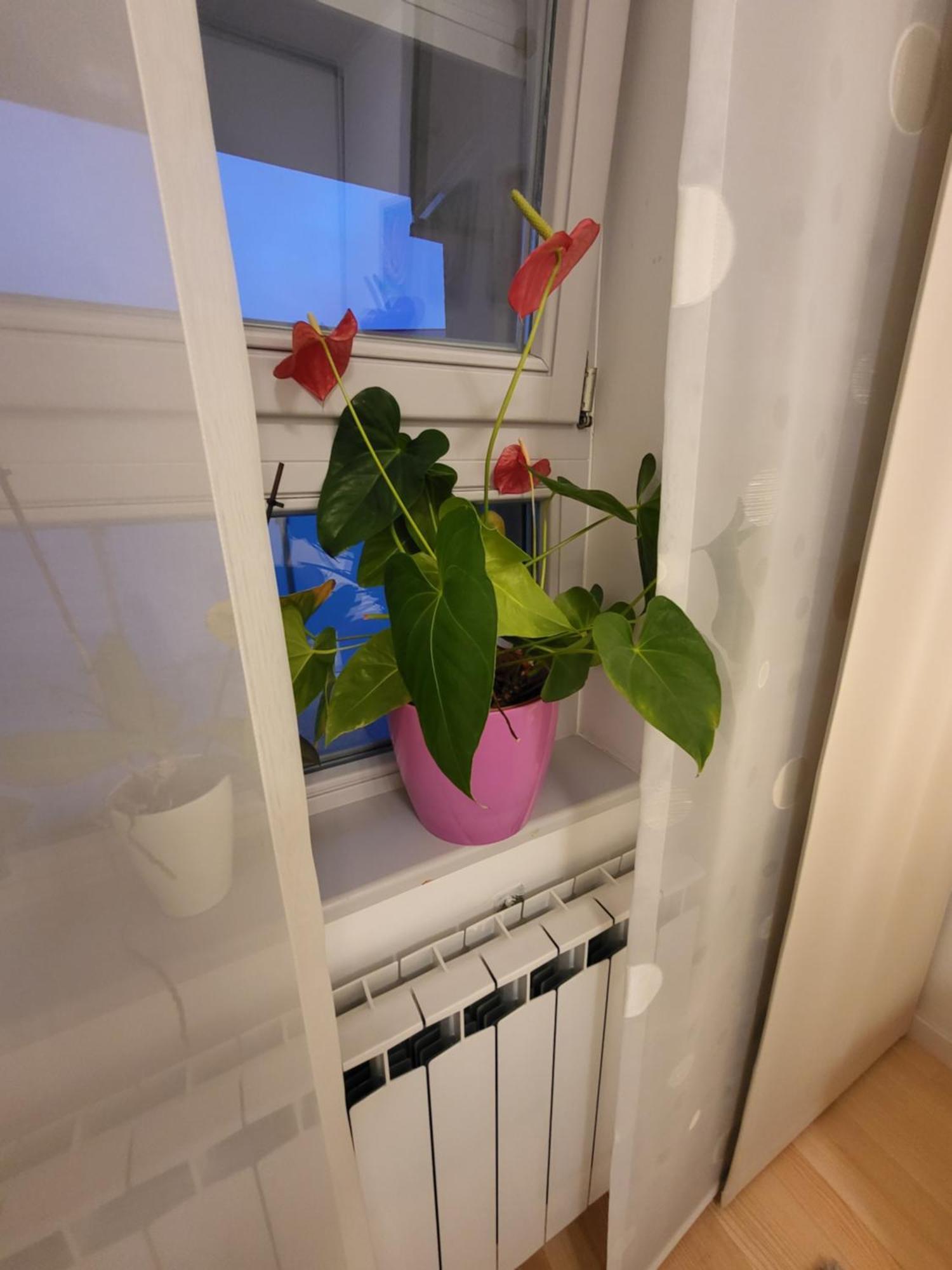 Apartman Jarun Lake Lux Zágráb Kültér fotó